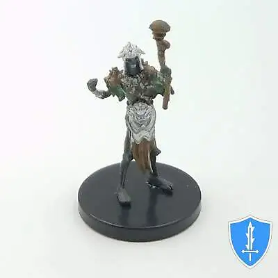 Jarad Golgari Elf Lich - Guildmasters Guide To Ravnica #23 D&D MTG Miniature • $1.29