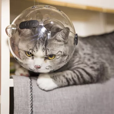 Portable Anti-Bite Cat Helmet Cat Breathable Hood Transparent Reusable Mask Bh • $13.19