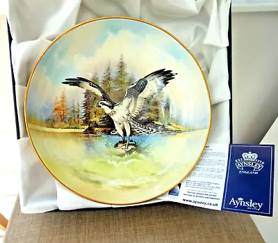 Aynsley Fine Bone China - Large Limited Edition Hand Painted Osprey Bowl - Boxed • £79