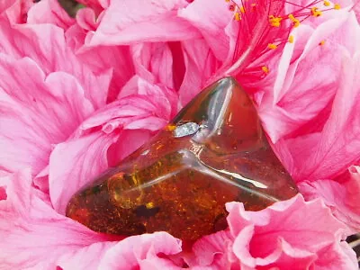 Mexican Amber With Insect Inclusion And Enhydros 14.6g • $100