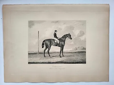 Vintage Antique Print 1888 Portraits Famous Racehorses Cotherstone Foaled 1840 • £16