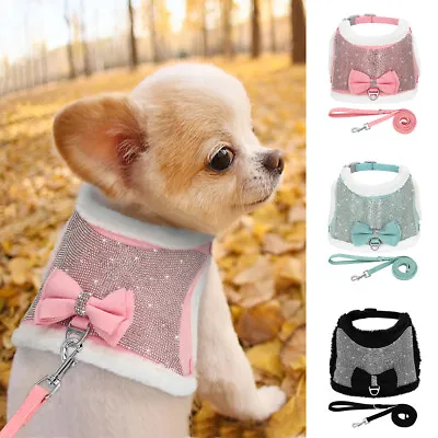 £14.27 • Buy Small Dogs Bling Suede Harness Diamante Vest Warm Fleece Padded For Puppy Cat 