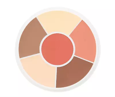 Ben Nye MOJAVE Adjuster Concealer LIGHT CONTOUR Wheel CBW-1 • $28