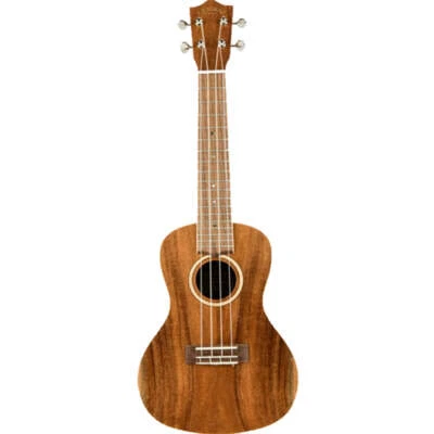 $587.95 • Buy Lanikai Acacia Series Concert Ukulele All Solid Natural Satin Uke W/ Polyfoam Ca