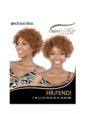 Motown Tress 100% Remy Human Hair Wig HR Fendi (#27) • $35