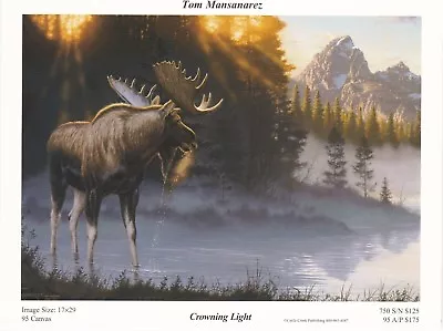 Crowning Light By Tom Mansanarez Moose Print 7x5 • $9.98