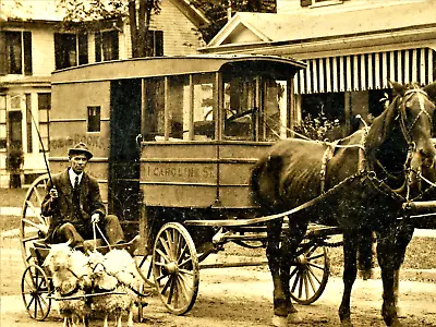 Photograph Saratoga Springs NY  Man In Goat Cart Carriage Books Caroline St. • $45