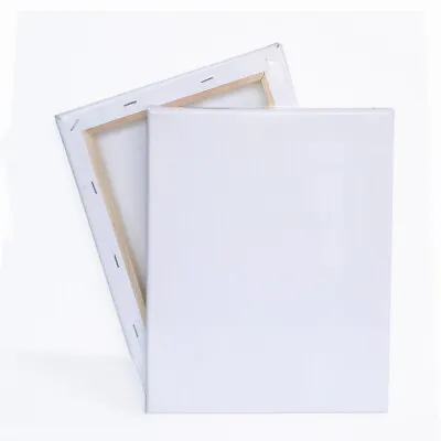 Artist Blank Stretched & Acrylic Primed Box Framed 100% Cotton Art Canvas • £3.99