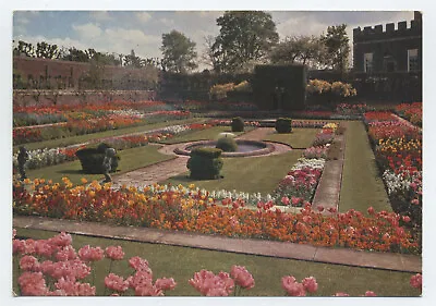 Unused Postcard Showing The Pond Gsrden At Hampton Court Palace • £0.50