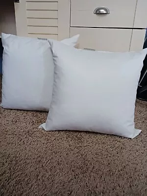 Pottery Barn Down Pillow Insert Set Of 2 • $20