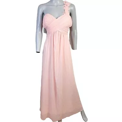 Chiffon Bridesmaid Dress Large 14 Pink Cocktail Formal Gown Maxi L New With Tags • $60