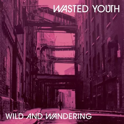 Wasted Youth - Wild And Wandering Remaster - Ltd Edition 12  Vinyl - Post Punk   • £18