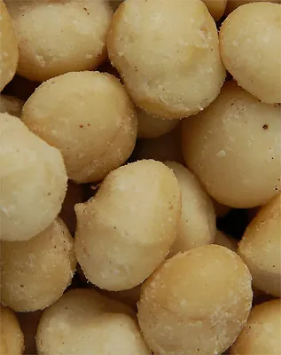 Macadamia Nuts Roasted Salted 1lb • $28.69