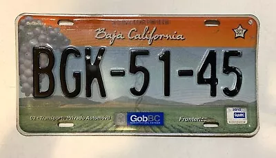 2010 Baja California Mexico License Plate Fronteriza Delantera (front Plate) • $25