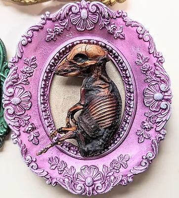 Mummified Piglet Bacon Seed Fetal Pig Taxidermy Oddities Framed Art Handmade • $95