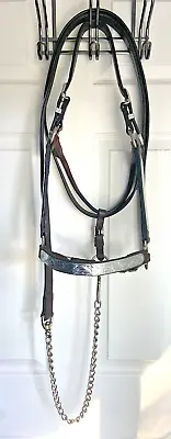 Circle Y German Silver Leather Show Halter With Leather Show Lead • $155