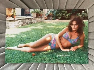 £3.99 • Buy JACQUELINE BISSET 6x4'' Size Photo Repro 1970s Pin Up Actress 1022