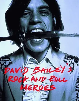 David Bailey's Rock And Roll Heroes • £7.40