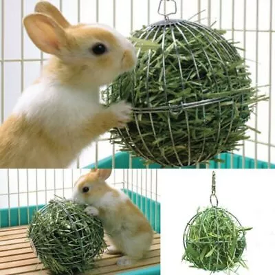 Pet Hay Manger Dish Food Feeder Grass Rack Ball For Pet Rabbit/Mini Pig/Hamster • $7.31