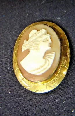 Vintage Cameo Women's Jewelry Pin • $9.99