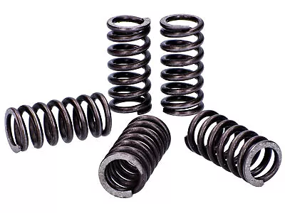 Aprilia RS4 50 2011-2013 Malossi Reinforced Clutch Plate Spring Set • $16.06