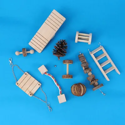 10 Pcs Chew Toys Squirrels Toys Rat Cage Accessories Hamster Climbing Ladder • £24.55