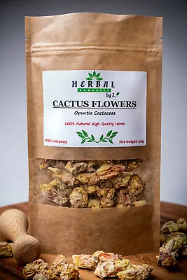 £5.99 • Buy Cactus Flower OPUNTIA Prickly Pear / Kwiat Kaktusa Opuncja Figowa