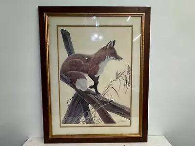 Vintage “Red Fox” Limited Edition John Ruthven Signed Etching 154/1000 Framed • $425