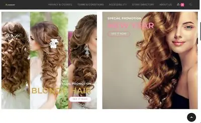 Make Money - Hair Extension Store ECommerce Dropshipping / Affiliate Website  Fr • $12