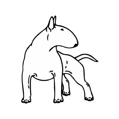 Bull Terrier Dog Stickers Breed • $2.45