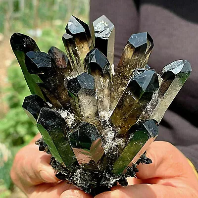 1PC New Find Black Phantom Quartz Crystal Cluster Mineral Specimen Healing Gift • $36