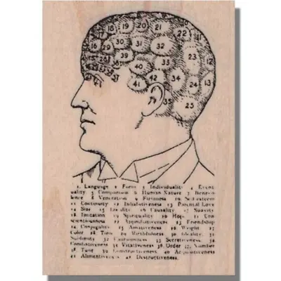 Rubber Stamp NUMBERED HEAD Brain Map SkullFace Media Dictionary Science • $8.94