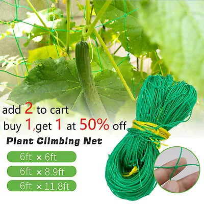 Garden Plant Climbing Net Trellis Netting Mesh Support Fruits Vine Veggie Bean • $9.95