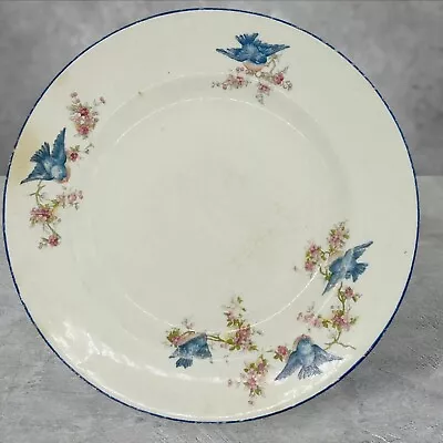 Antique Mount Clemens Pottery Bluebird Dinner 9  Plate RARE • $21.99