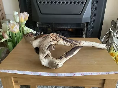 £6.99 • Buy Driftwood , Aquarium, Vivarium, Art, Craft,shop Window/Floral Display,
