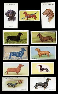 DACHSHUND SMOOTH GERMAN DAXI SAUSAGE DOG VINTAGE CIGARETTE & TRADE CARDS - X 11 • $7.41