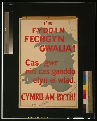 8  X 10  Photo World War I WWI Map Of Wales Welsh Text Recruiting Enlistmen • $16.95