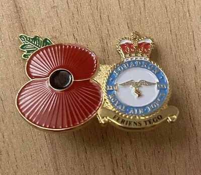 No. 25 Squadron RAF Regiment Remembrance Enamel Lapel Pin Badge British Military • £2.99