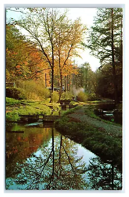 Galeton PA Postcard- Potter County Anglers Fish Hatchery - Cherry Springs • $7.69