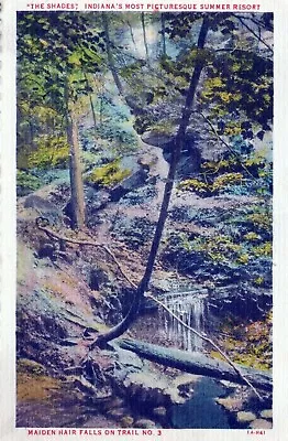 The Shades Maiden Hair Falls Trail Indiana Posted Vintage White Border Post Card • $9.64