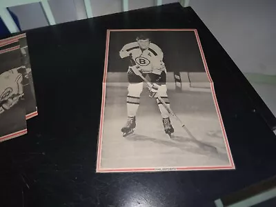 Boston Bruins Vintage Phil Esposito # 7 Black & White Poster Rare Hockey 3 Hof • $10.92