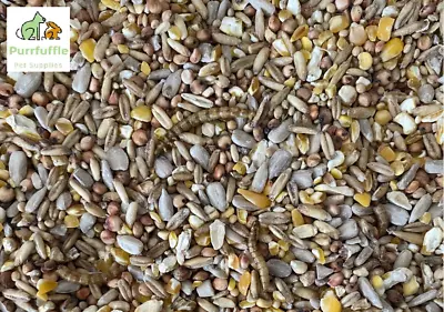 £6.99 • Buy Robin Songbird Wild Bird Food Seed Mix With Mealworms And Sunflower Hearts