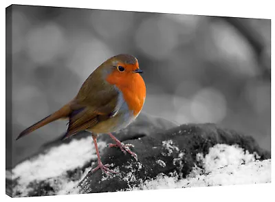 Robin Red Breast Bird Canvas Wall Art Picture Print • £27.99