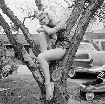 $9 • Buy Actress Irish Mccalla Poses At Home As Sheena In LA 1956 OLD PHOTO 5