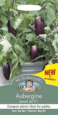 Mr Fothergills - Vegetable - Aubergine - Jewel Jet F1 - 10 Seeds • £3.70