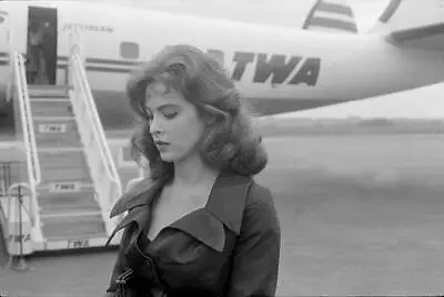 American Actress Tina Louise Arriving Airport For 19th Venice Inte- Old Photo • $9