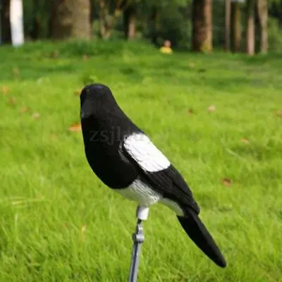 Garden Decor Magpie Decoy Realistic Durable Bird Scarer Birds Hunting Decoys • £9.31