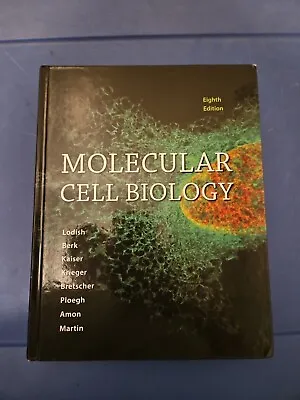 Molecular Cell Biology By Arnold Berk Anthony Bretscher Harvey Lodish... • $44.99