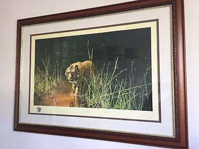 DAVID SHEPHERD  'JUNGLE GENTLEMAN' Framed Limited Edition Print • £350