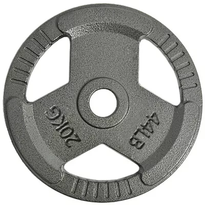 45LB Cast Iron Weight Plates Single 2 Hole Disc Dumbbell Olympic Barbell Weights • $59.74